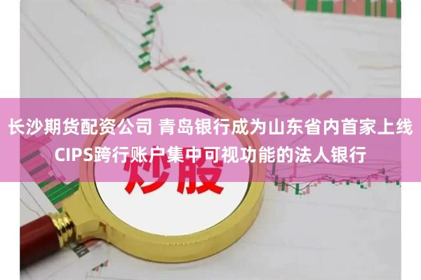 长沙期货配资公司 青岛银行成为山东省内首家上线CIPS跨行账户集中可视功能的法人银行