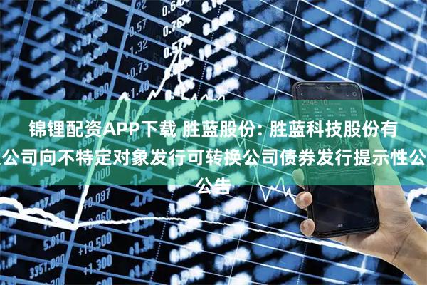 锦锂配资APP下载 胜蓝股份: 胜蓝科技股份有限公司向不特定对象发行可转换公司债券发行提示性公告